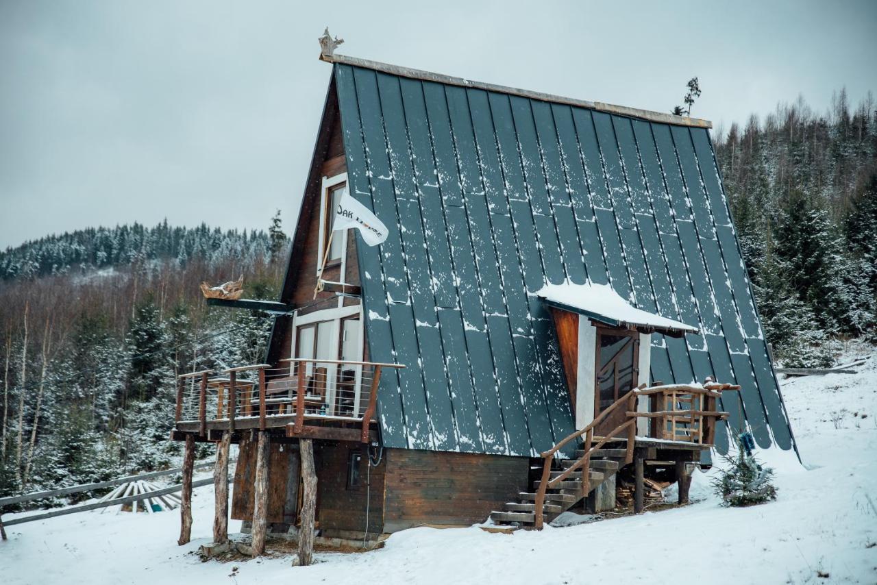 Ferienwohnung Oak House Poljanyzja Exterior foto
